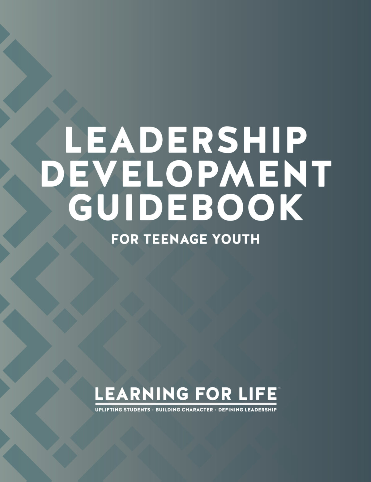 lead dev guide Learning for life
